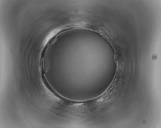 X0000094180054200710261140