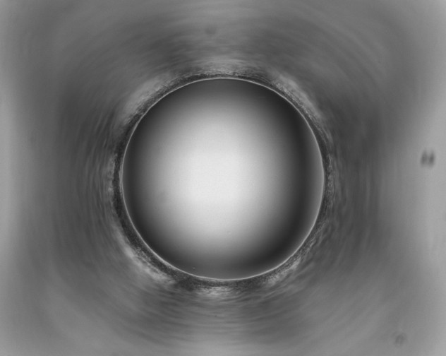 X0000094180058200710261140