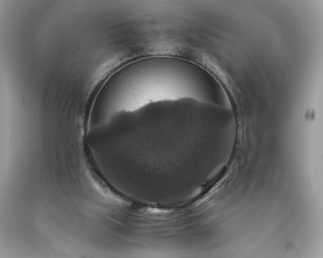 X0000094180059200710261140