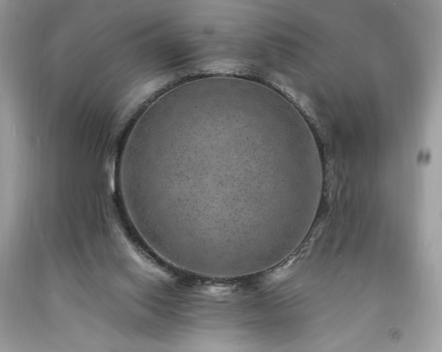X0000094180062200710261140