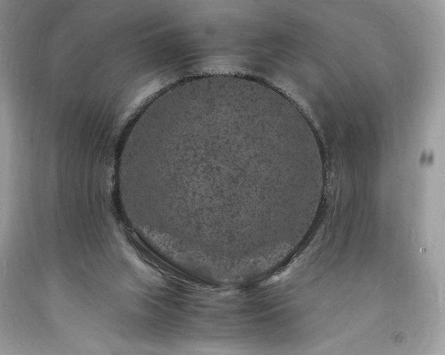 X0000094180063200710261140