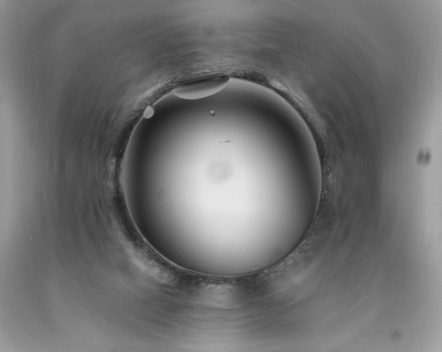 X0000094180066200710261140