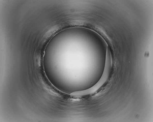 X0000094180068200710261140