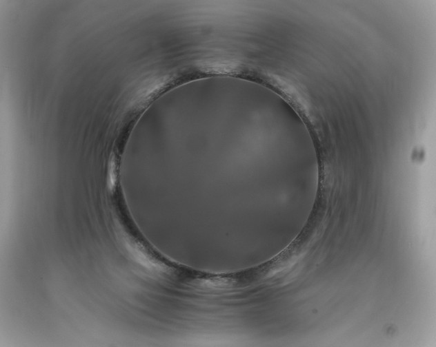 X0000094180069200710261140