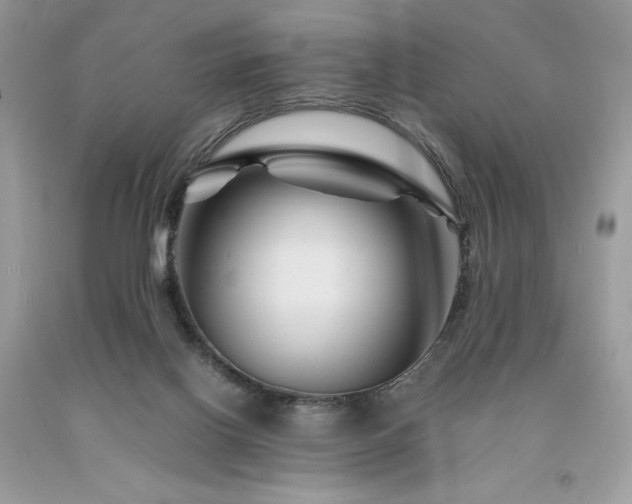 X0000094180070200710261140