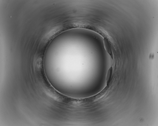 X0000094180071200710261140