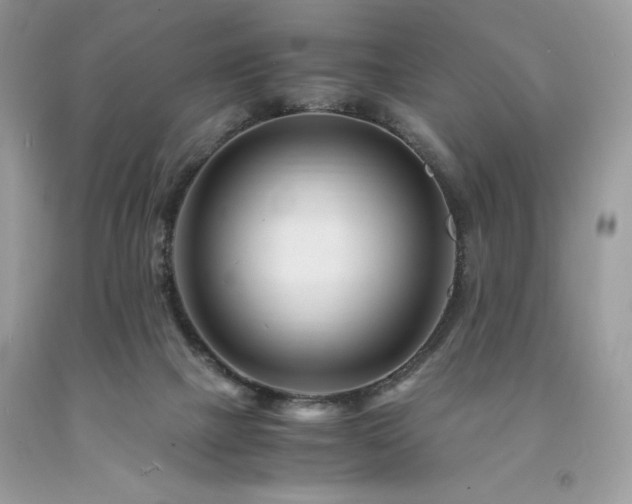 X0000094180073200710261140