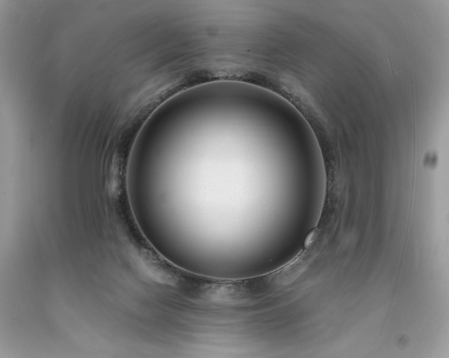 X0000094180074200710261140