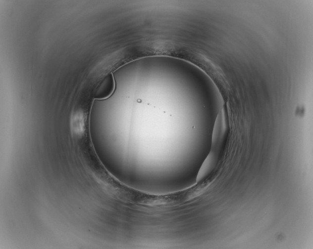 X0000094180075200710261140