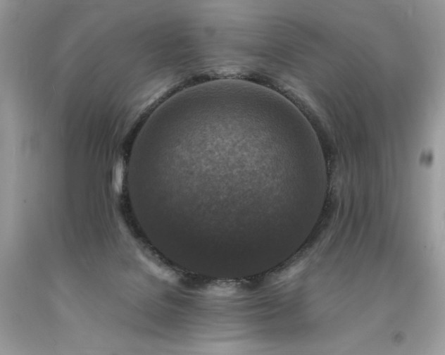 X0000094180076200710261140