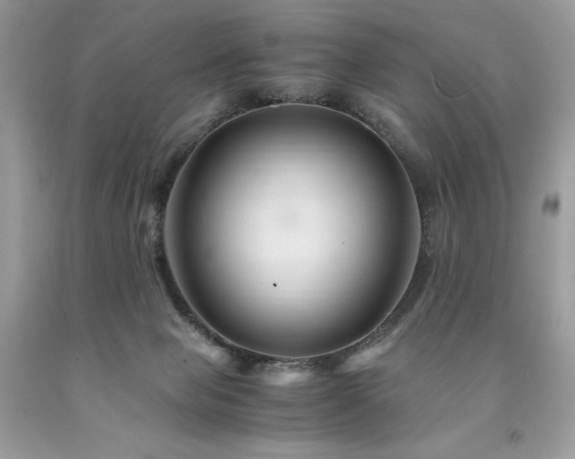 X0000094180077200710261140