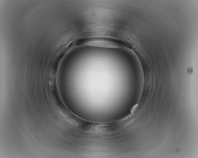 X0000094180078200710261140