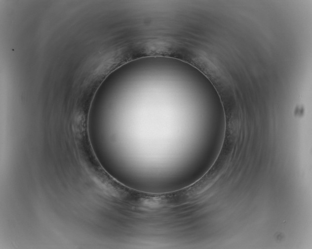 X0000094180079200710261140