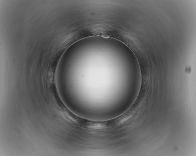 X0000094180081200710261140