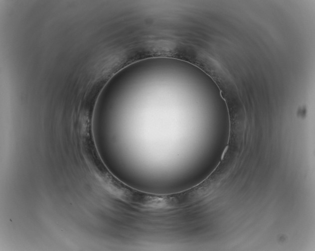 X0000094180083200710261141