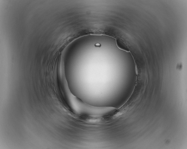 X0000094180084200710261141