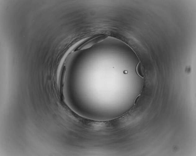 X0000094180085200710261141