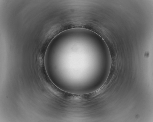 X0000094180086200710261141