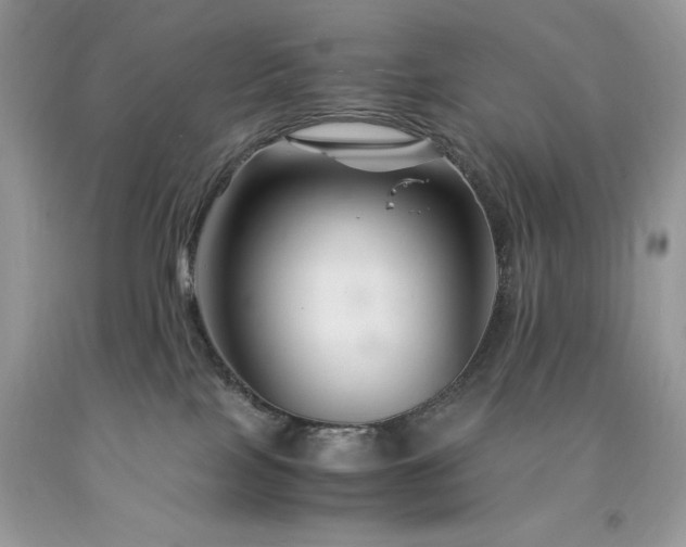 X0000094180089200710261141