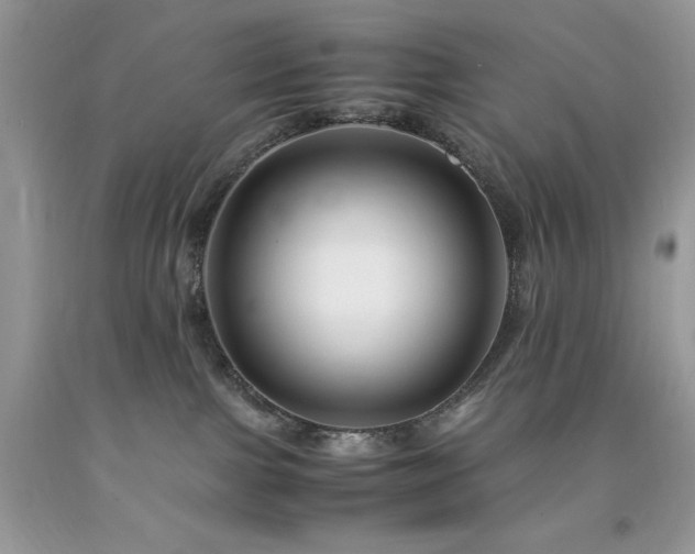 X0000094180091200710261141