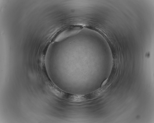 X0000094180093200710261141