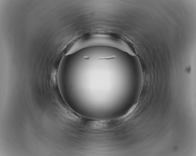 X0000094180094200710261141