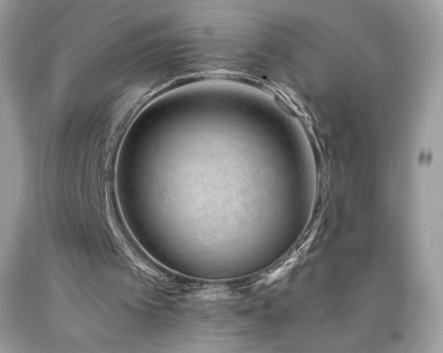 X0000094180097200710261140