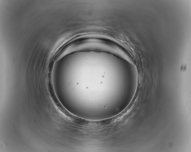 X0000094180101200710261140