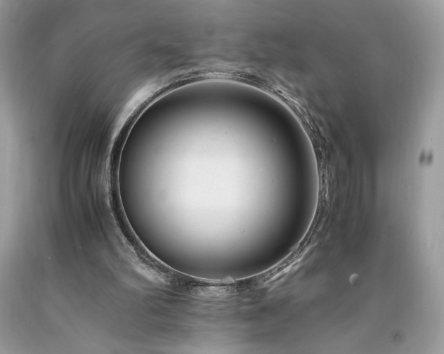 X0000094180102200710261140