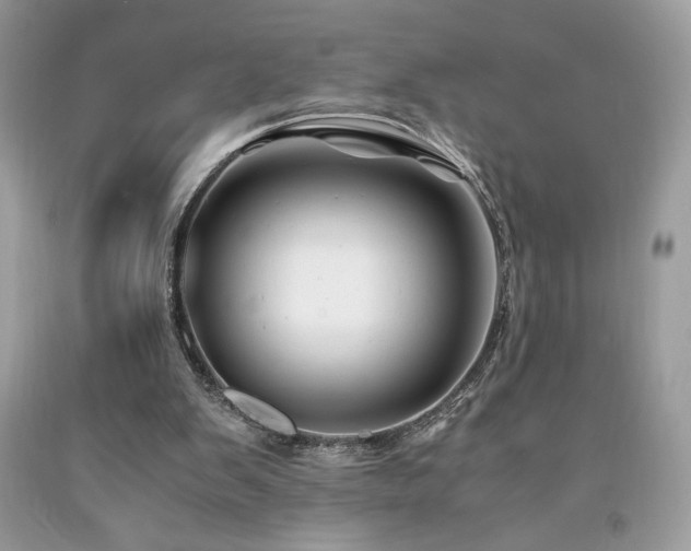 X0000094180103200710261140