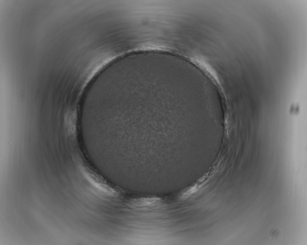 X0000094180108200710261140
