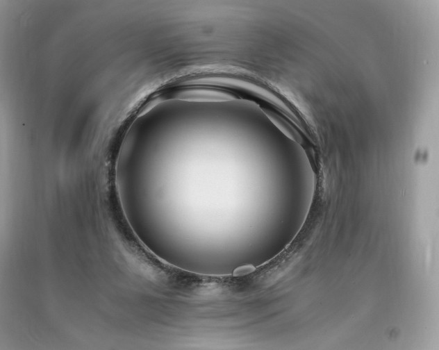 X0000094180111200710261140