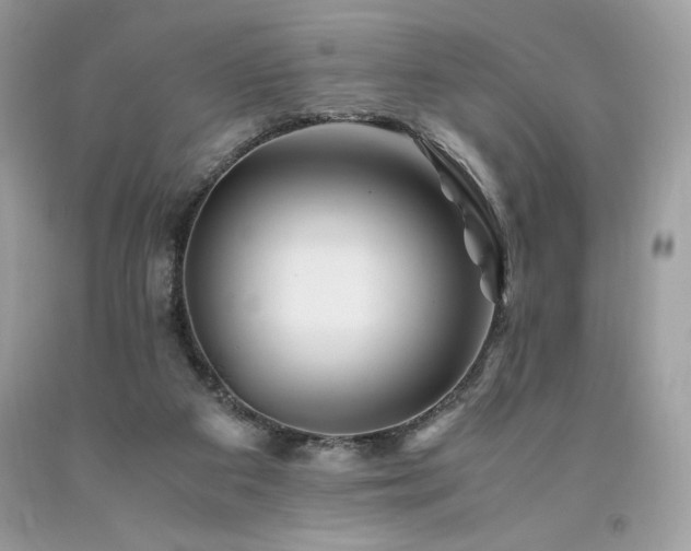 X0000094180113200710261140