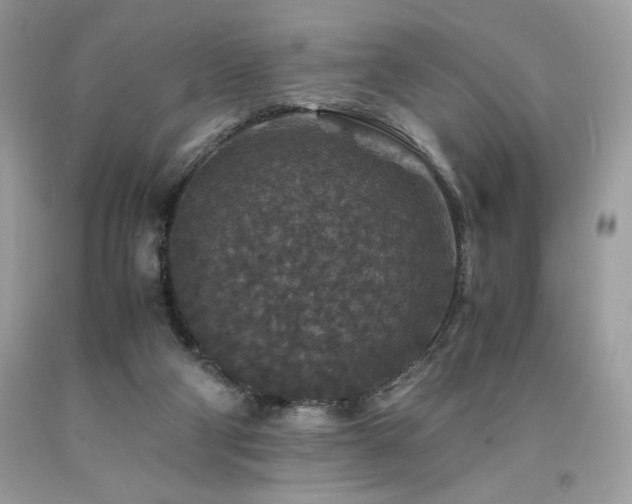 X0000094180114200710261140