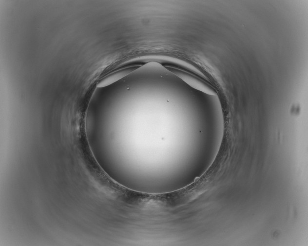 X0000094180115200710261140