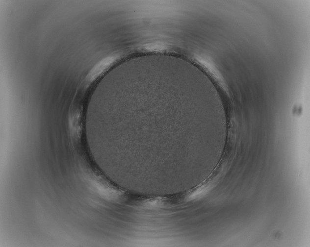 X0000094180116200710261140