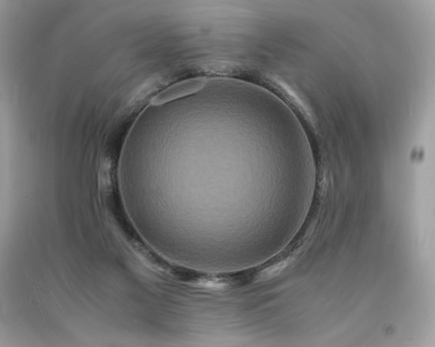 X0000094180117200710261140