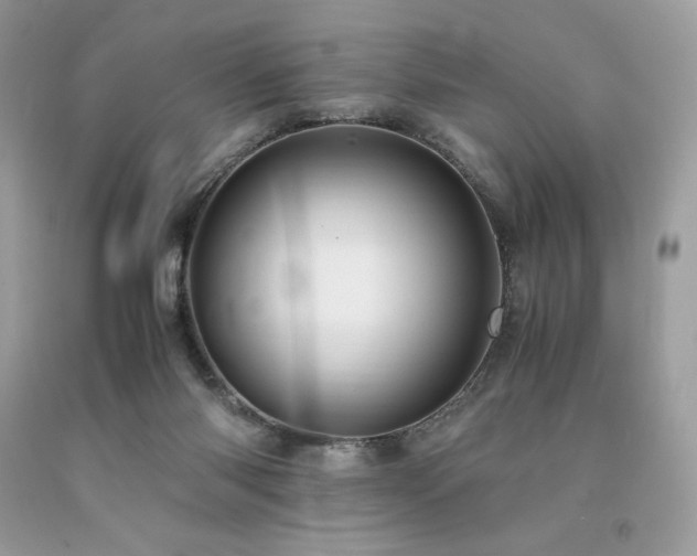 X0000094180118200710261140