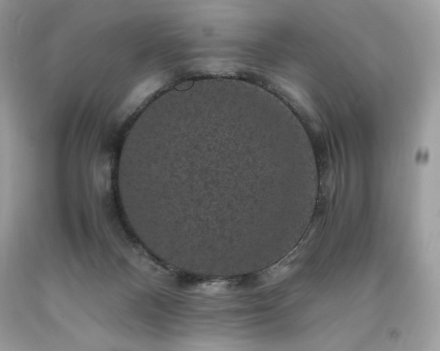 X0000094180120200710261140