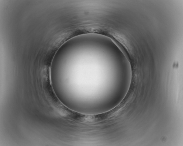 X0000094180121200710261140