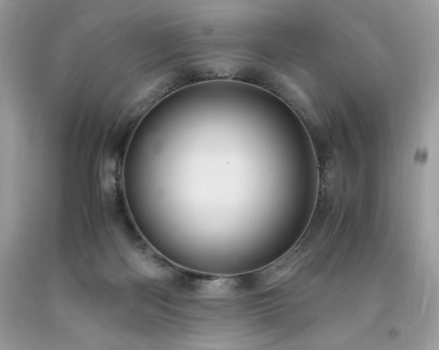 X0000094180122200710261140