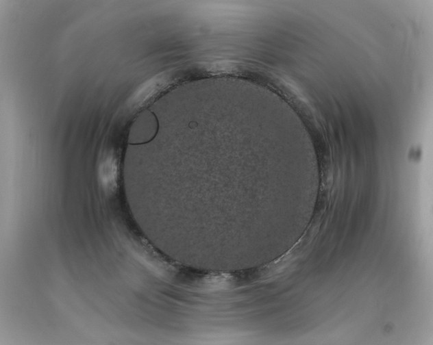X0000094180124200710261140