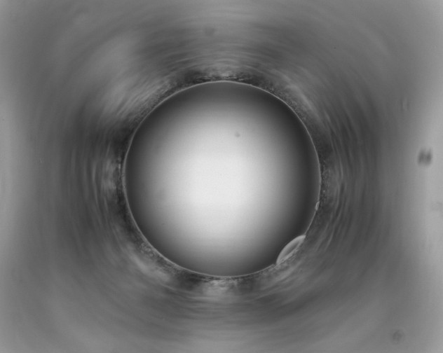 X0000094180126200710261140