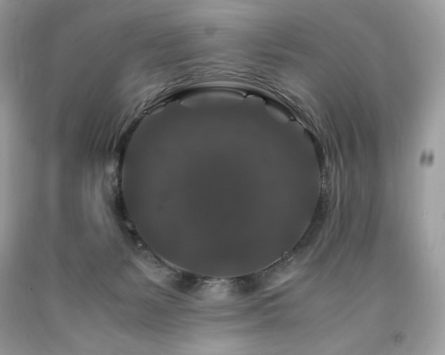 X0000094180127200710261140