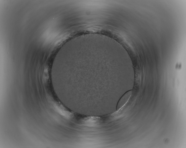 X0000094180128200710261140