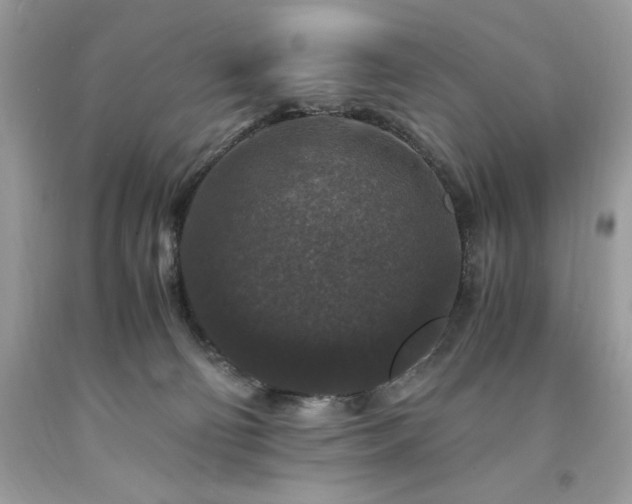 X0000094180130200710261140