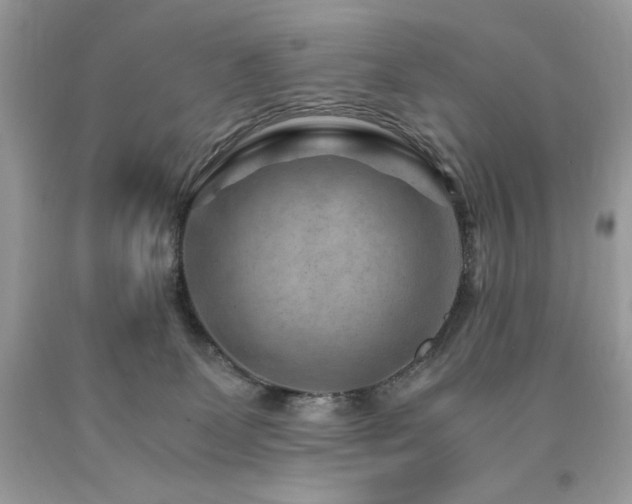 X0000094180131200710261140
