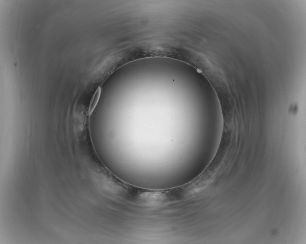 X0000094180133200710261140