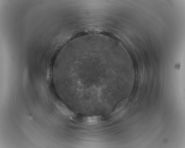 X0000094180134200710261140