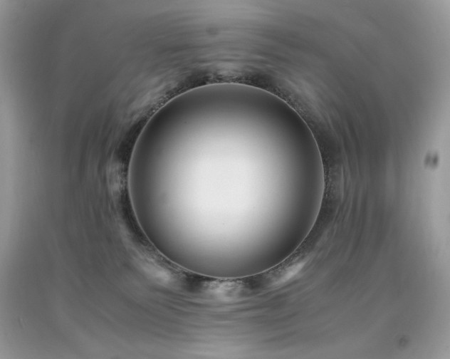 X0000094180135200710261139